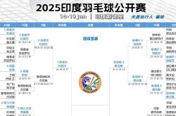 开云平台-印度洲际比赛团队实力爆发,赢得球迷倾心