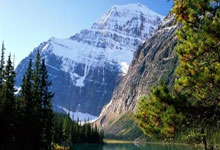 开云官网-联合杯鏖战温网，阿尔卡拉斯关键制胜的简单介绍