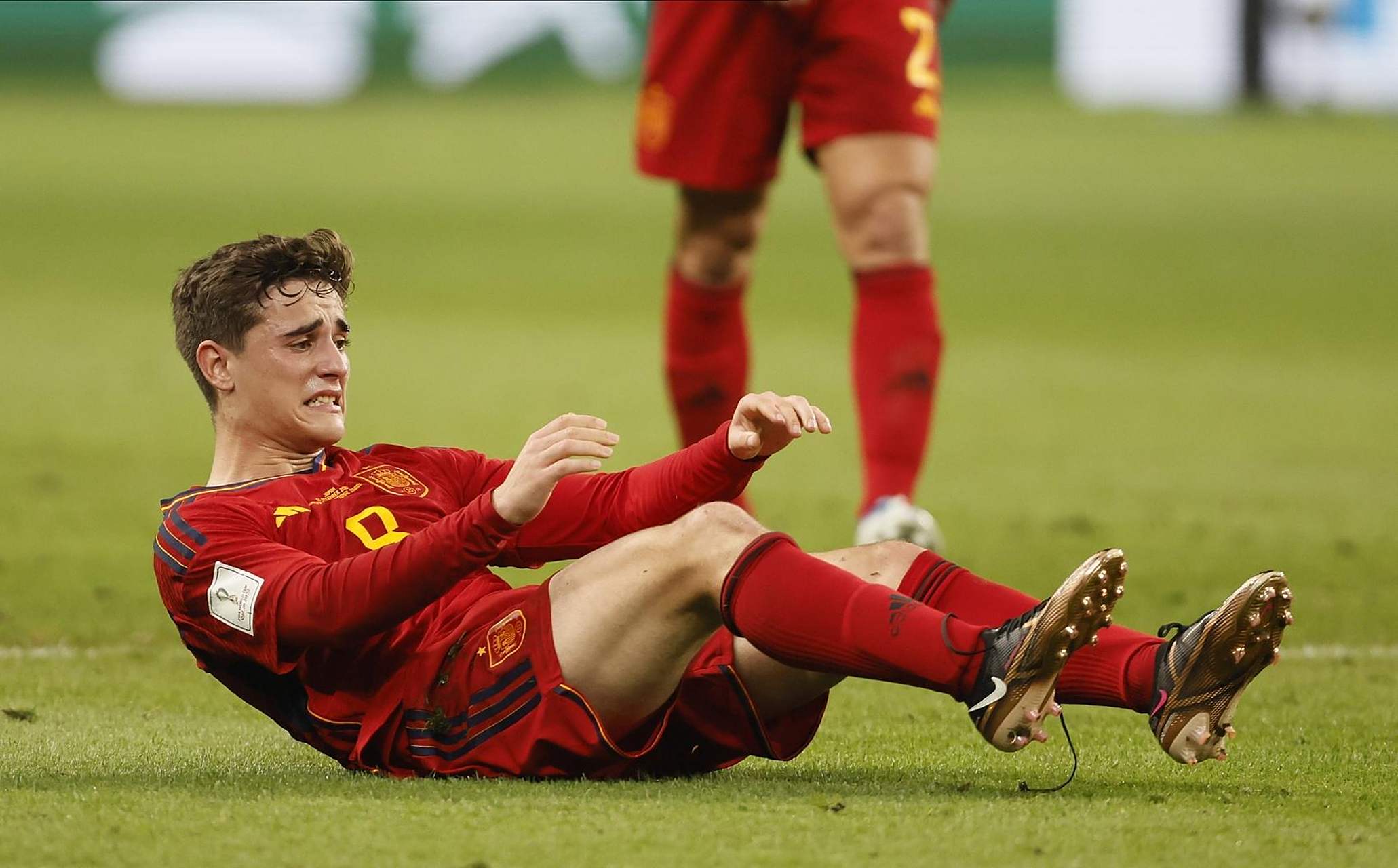 包含欧洲国家队展现出色状态,备战大赛的词条 包含欧洲国家队展现出色状态,备战大赛的词条