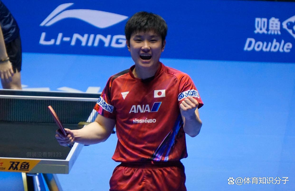 关于葡萄牙队力克波兰队，张本智和状态火热的信息