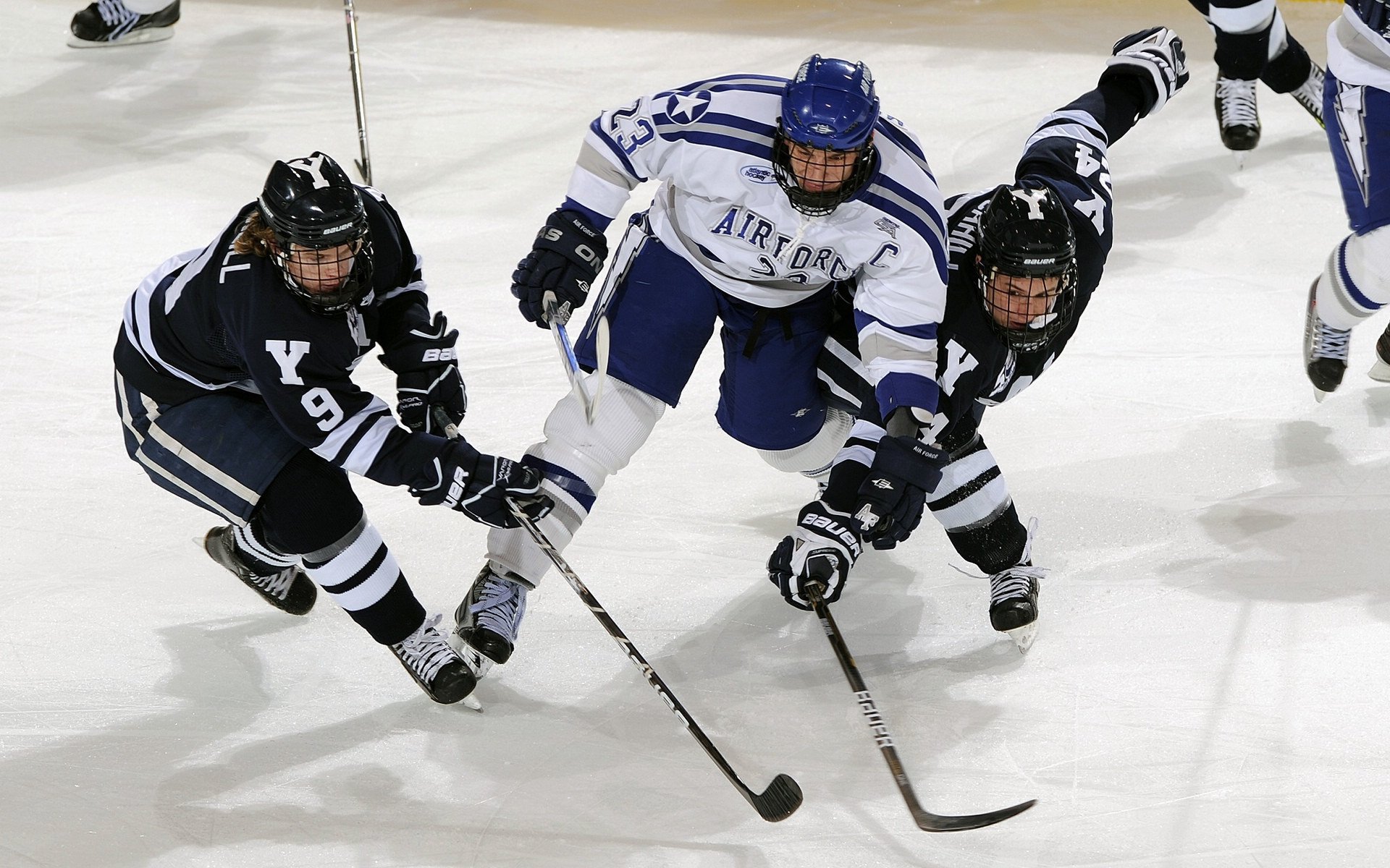 文班亚马关键战不手软，勇士对阵黄蜂见证新星崛起
