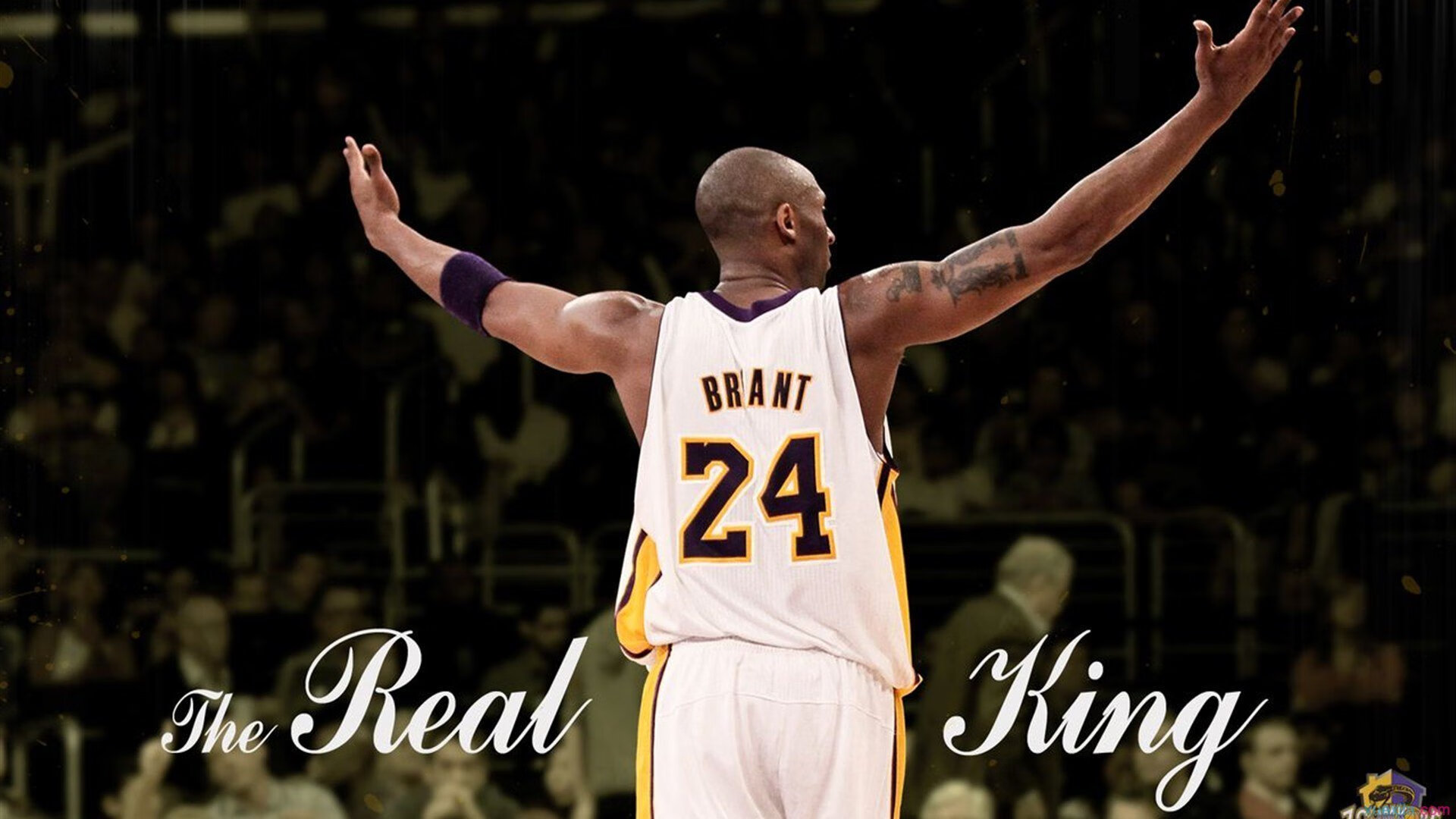 天山脚下掘金魂，约基奇逆境爆发，新疆精神照亮圣安东尼奥之夜